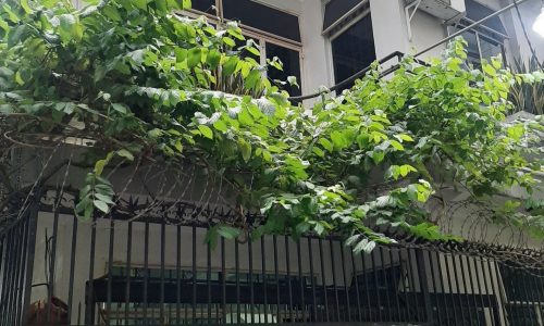 BÁN NHÀ TÂN BÌNH HXH 66 M2 BIỆT THỰ MINI  NGANG 6.5M ÚT TỊCH 10.2 TỶ.