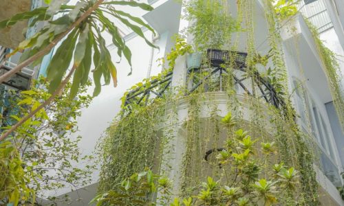 BÁN NHÀ BIỆT THỰ PHÚ NHUẬN 60M2 3 TẦNG NGANG 5M 3 TẦNG ĐẸP LUNG LINH TRẦN CAO VÂN 8.5 TỶ.