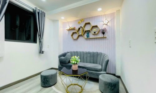 BÁN NHÀ GÒ VẤP HXH 40M2 3 TẦNG  3 PN SÁT MT 1 CĂN ĐẸP LUNG LINH LÝ THƯỜNG KIỆT 4.25 TỶ.