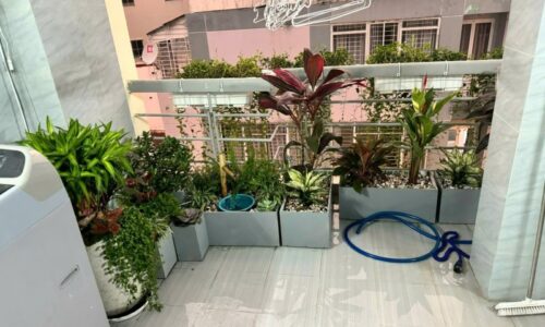 BÁN NHÀ MẶT TIỀN 70M2 4 TẦNG NGANG 4M KD ĐỈNH KHU PXK HOA SỮA 22 TỶ.