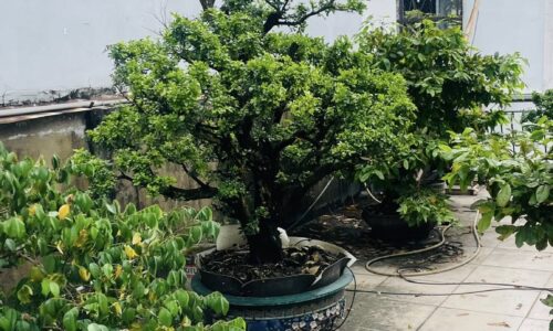 BÁN NHÀ TÂN BÌNH 72M2 OTO VÀO NHÀ 4 TẦNG KD ĐỈNH SÂN BAY PHỔ QUANG 12.7 TỶ